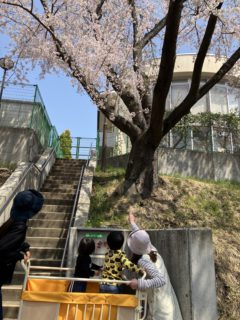 2025年度あおぞらホーム始まっています！